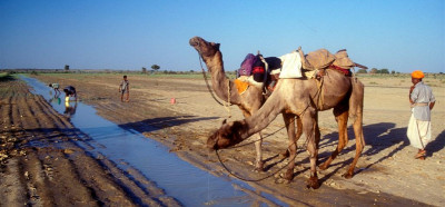Kamelji safari v Rajastanu