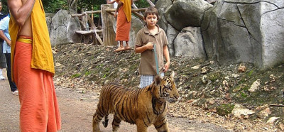 S tigrom na sprehodu