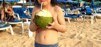 Kokos na plaži