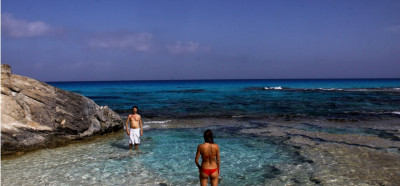 Karibsko modri bazenčki sredozemske obale