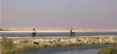 S kolesom na izlet okoli oaze Siwa