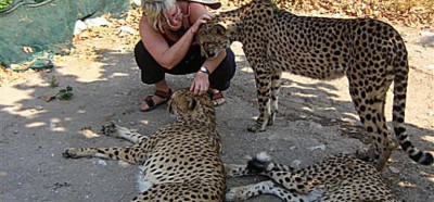 Pri frendih na obisku, kjer imajo za domače živali kar geparde