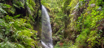 La Palma, UNESCO rezervat biosfere