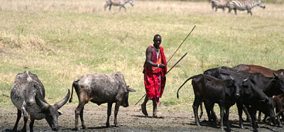 Eno izmed vasi ljudstva Masaijev obiščemo