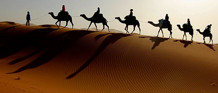 -Slikovit kamelji safari na sipinah nad Nilom